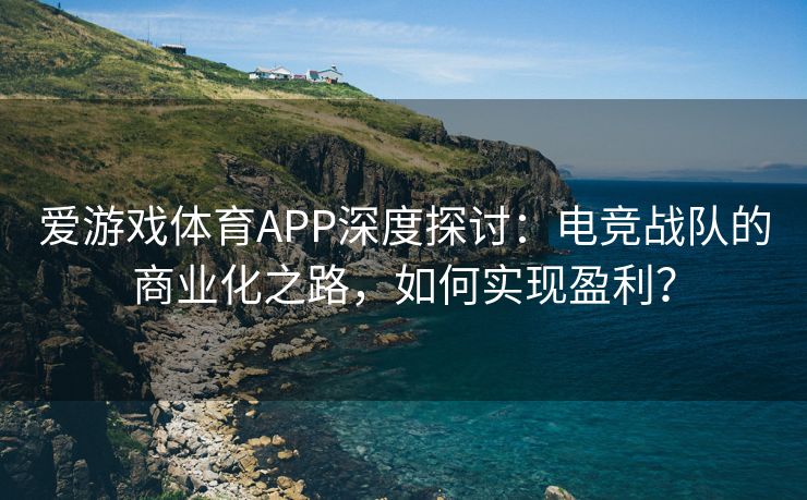 爱游戏体育APP深度探讨：电竞战队的商业化之路，如何实现盈利？